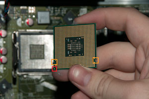 Bottom of CPU