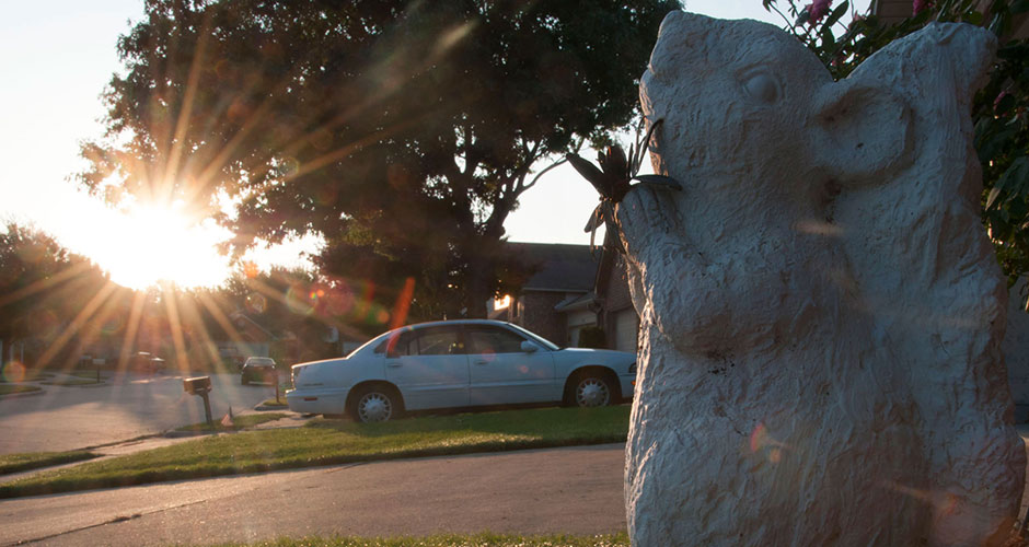 Sunrise in a suburban neighborhood